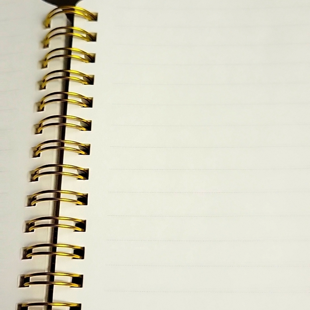 Journal - Picture 5 of 5